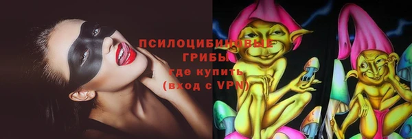 mdpv Ельня