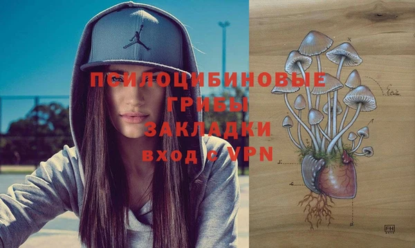 СК Елабуга