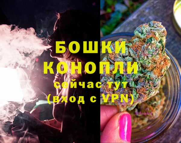 СК Елабуга
