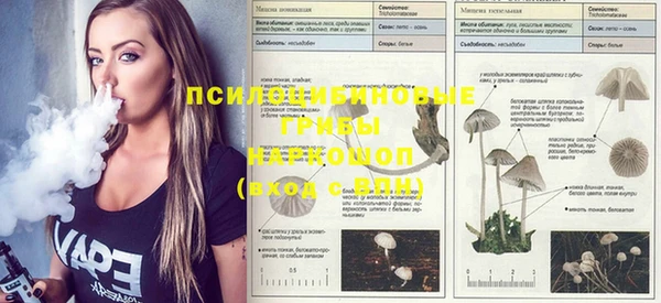 альфа пвп VHQ Елизово