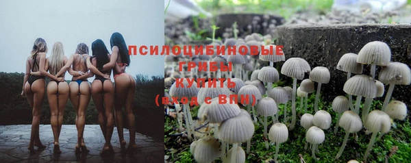 mdpv Ельня
