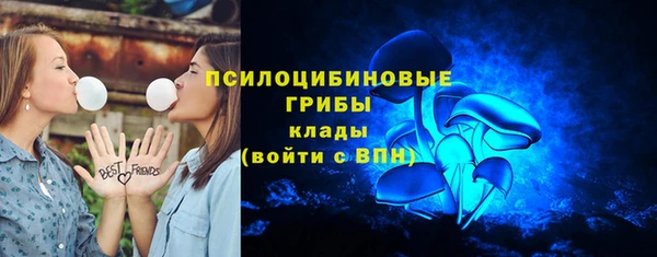 mdpv Ельня